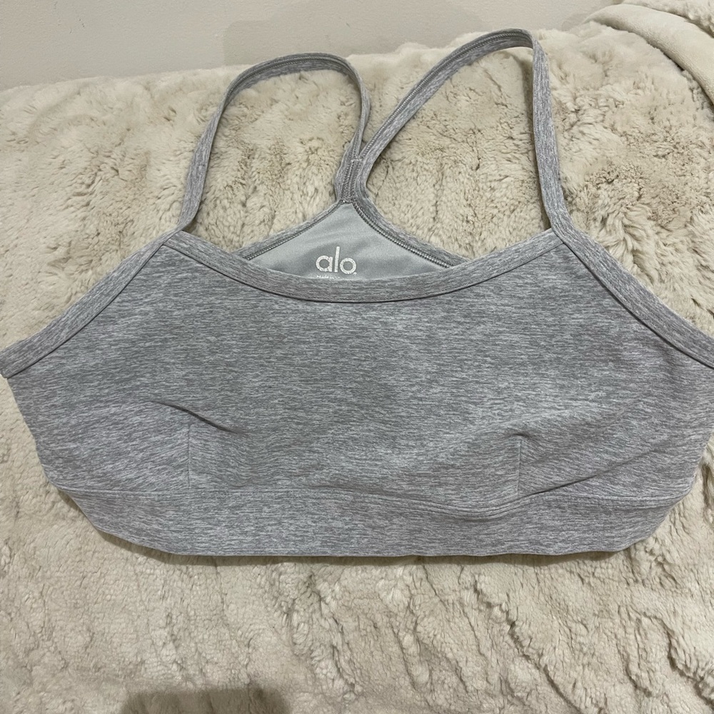 ALO Yoga Gray Crop Top